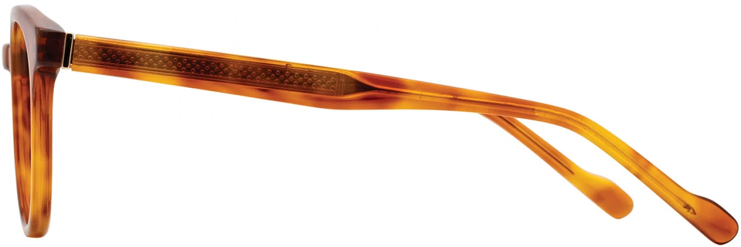 Scott Harris SHVIN68 Eyeglasses - view 5
